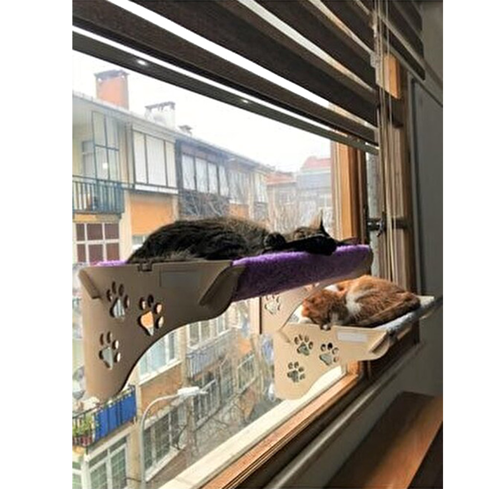 تخت پنجره ای برای گربه