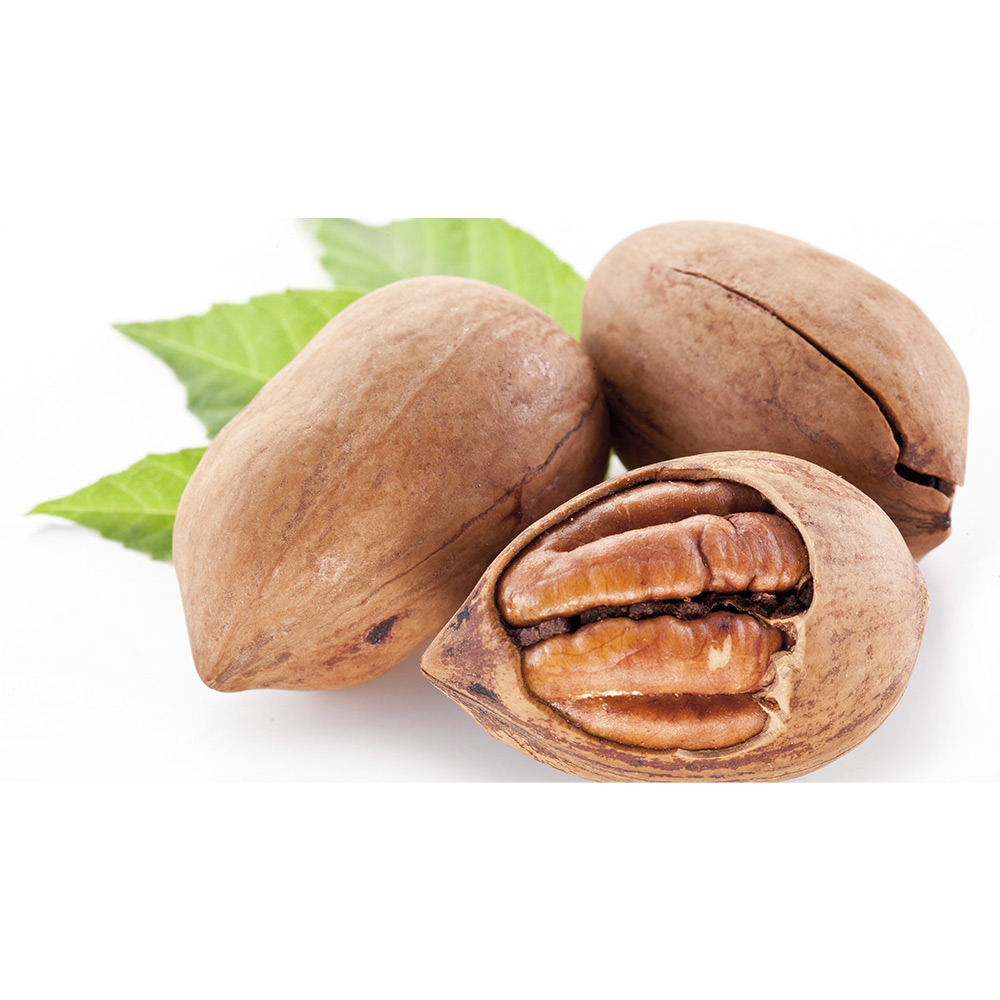 آجیل پکان (pecan-nuts)(0/5کیلویی)