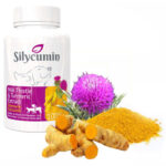 silycumin tab